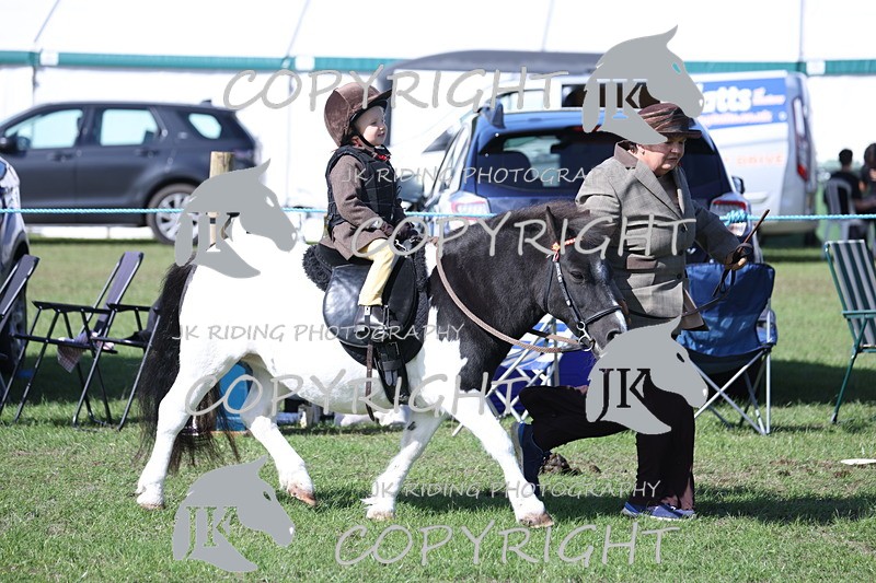 APP_3821 - Class 13 Lead rein