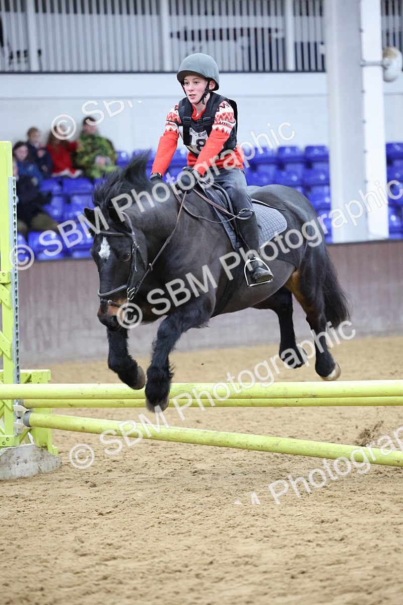 SBM_001166 - Class 3 - Christmas Tree Stakes - 60cm