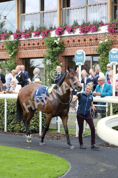 yr19082022r4-1 - Race 4 3.35pm Coolmore Wootton Bassett Nunthorpe Stakes (British Champion Series Race)