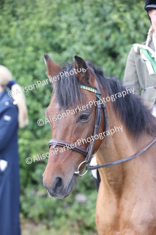 20250831-1098 - Class 15 - Ridden Veteran