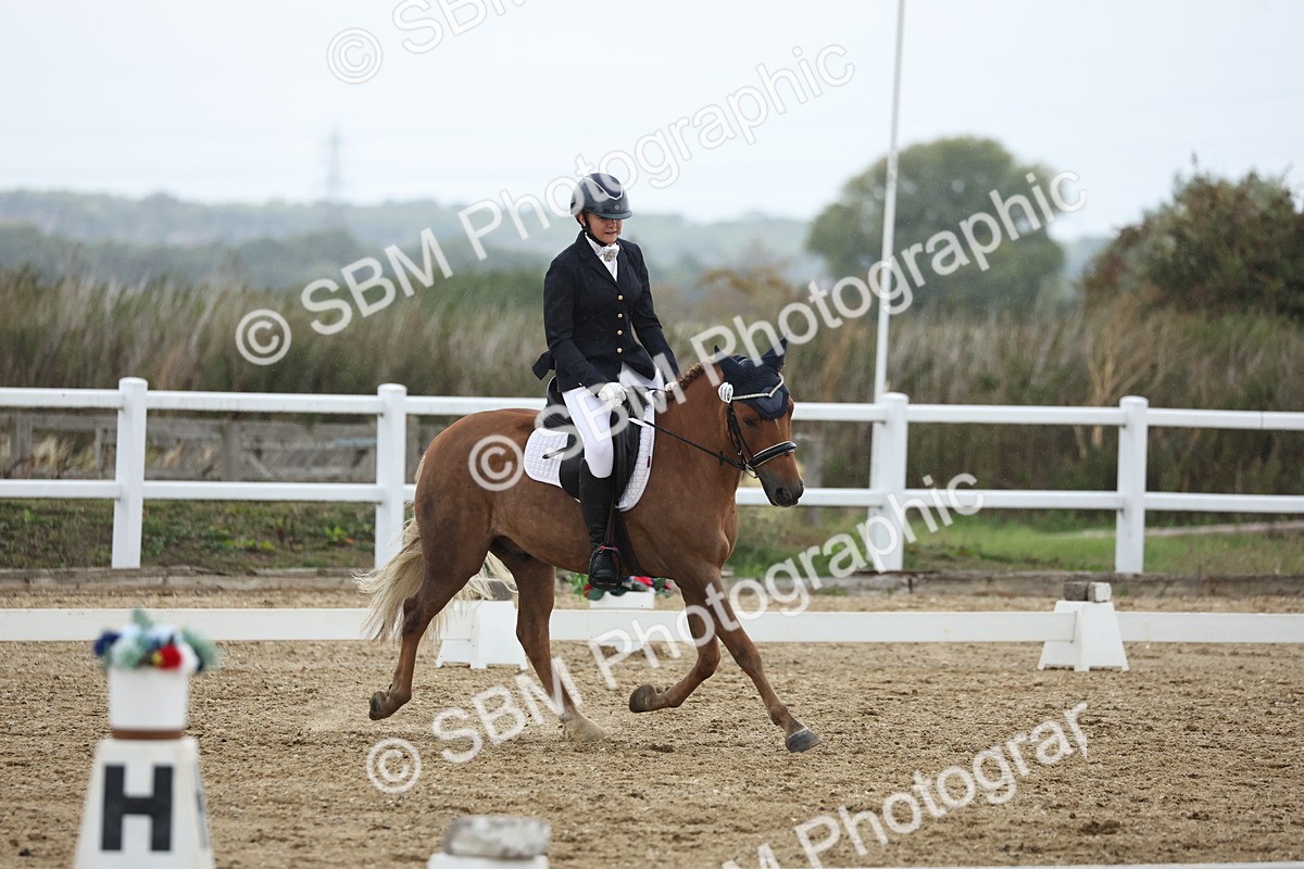 SBM_004316 - Class 8 - Novice 3 Champs