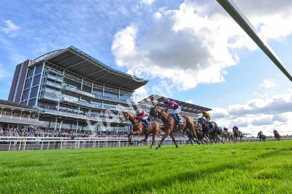 111024-Race 1-Empirestateofmind-7825 - Race 1 1.30pm William Hill Top Price Guarantee Autumn Handicap