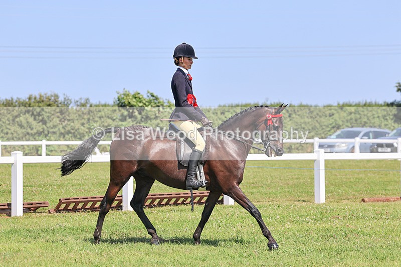IMG_2120 - Plaited Ridden Championship