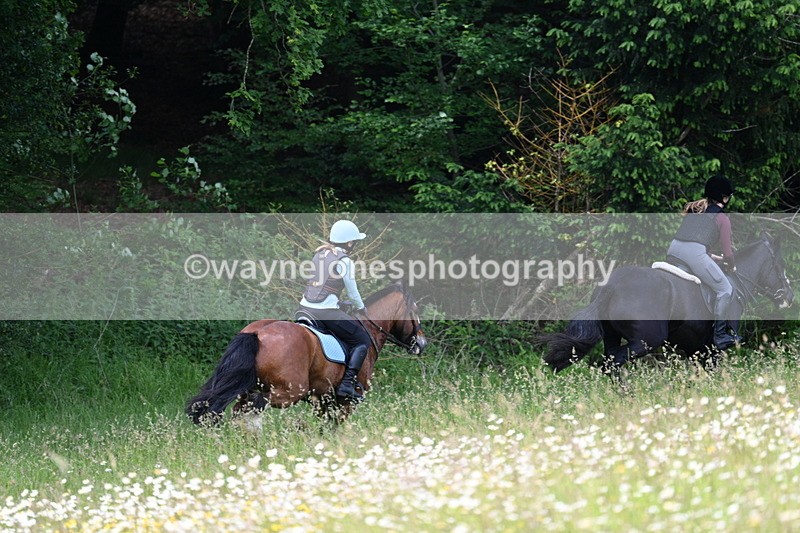 WJ7_8584 - Group 1 10am