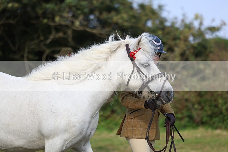 3E7A3281 - Class 12: M & M Small Breeds