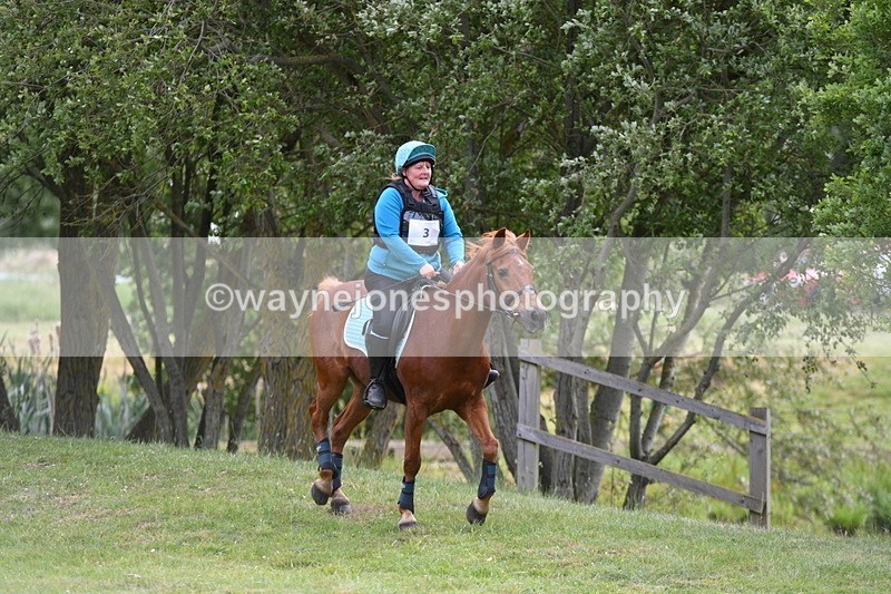 WJ5_2297 - Class 2 40cm