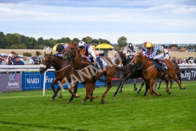 160926-Race 5-Call To Action-1025 - Race 5 4.18pm We Are Christmas Party Central Handicap