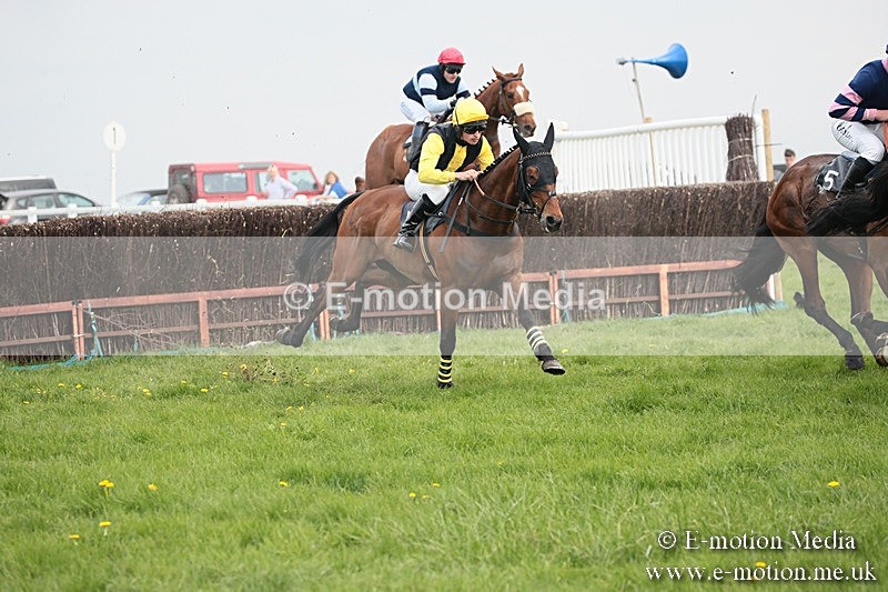 PtP 210418 344 - South & West Wilts Point-to-Point Larkhill 21/04/18