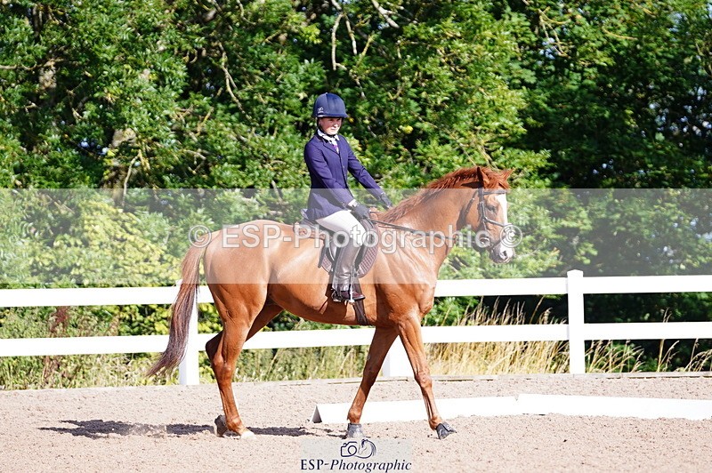 240809A-090254-00134 - Dressage Competition