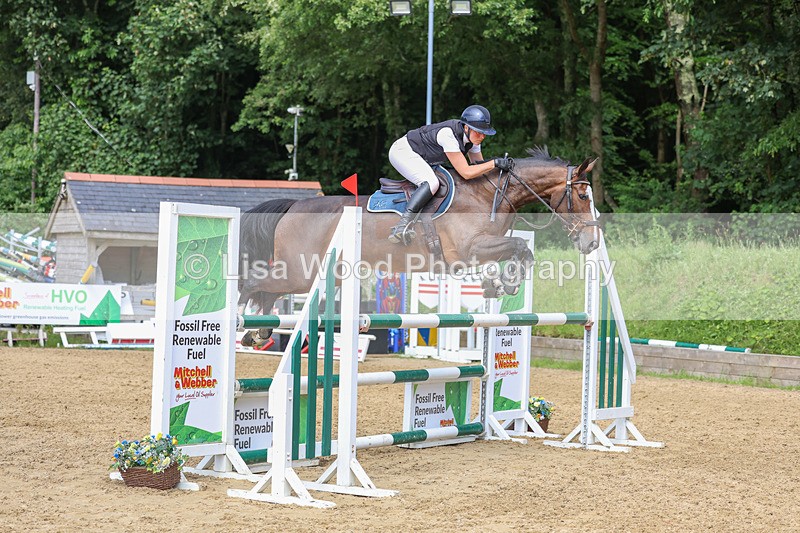 3E7A7587 - Class 9: Senior Foxhunter/1.20 open