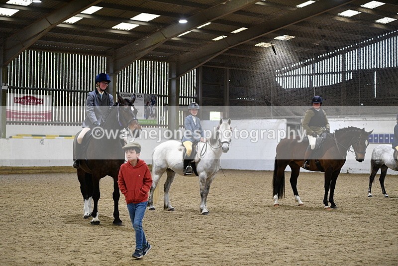 WJ5_8100 - Class 13 Ridden Part Breed