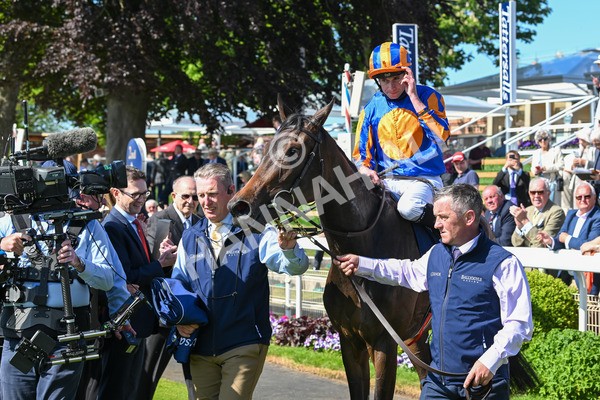140525-Race 4-Whirl-2513 - Race 4 3.45pm Tattersalls Musidora Stakes