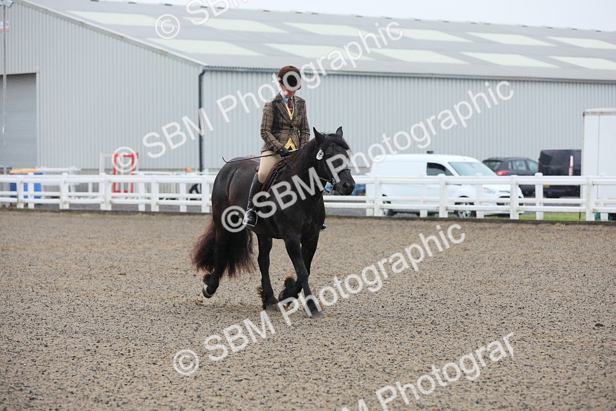 SBM_19878 - Class 801 - Ridden Veteran