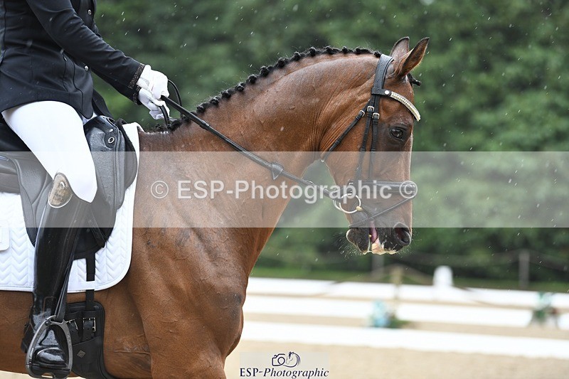 240720-125015-04972 - 127-Danielle_Thackray-Romanno_Maydream