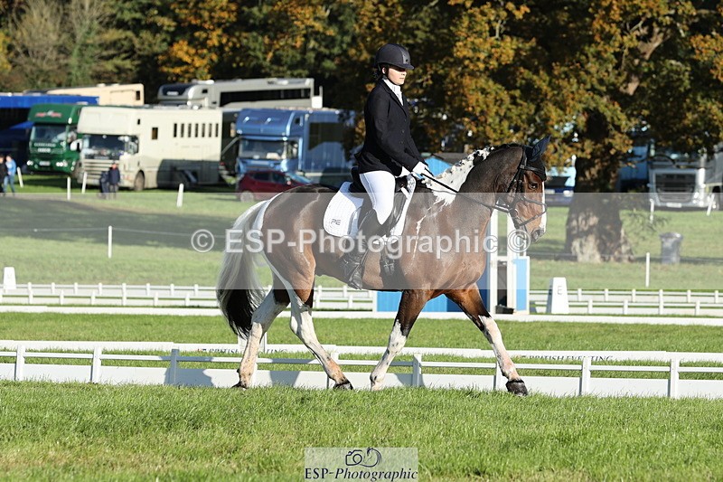 251024A-100319-07642 - D-341-Charlotte.Northcott