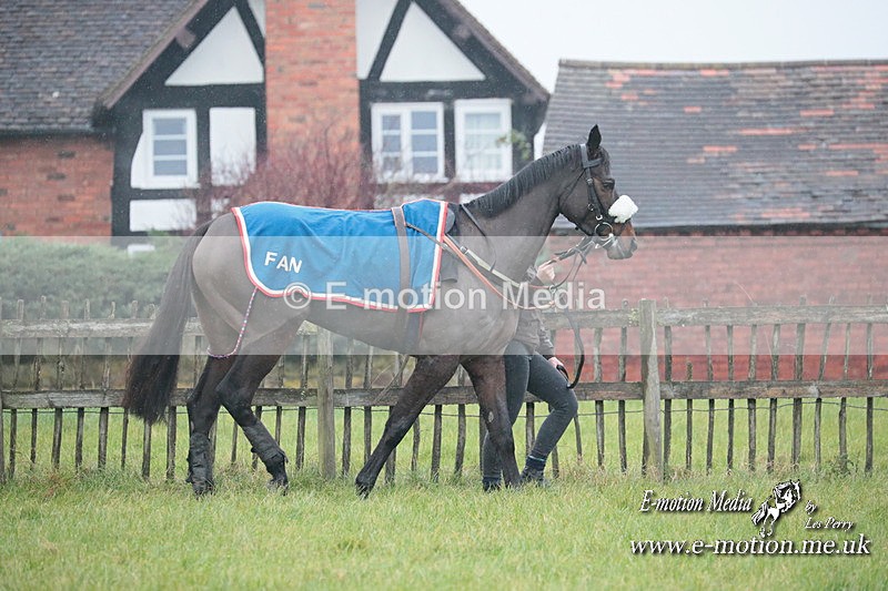 PtP 031223 18 - Wheatland Hunt PtP Chaddesley Races 03/12/23