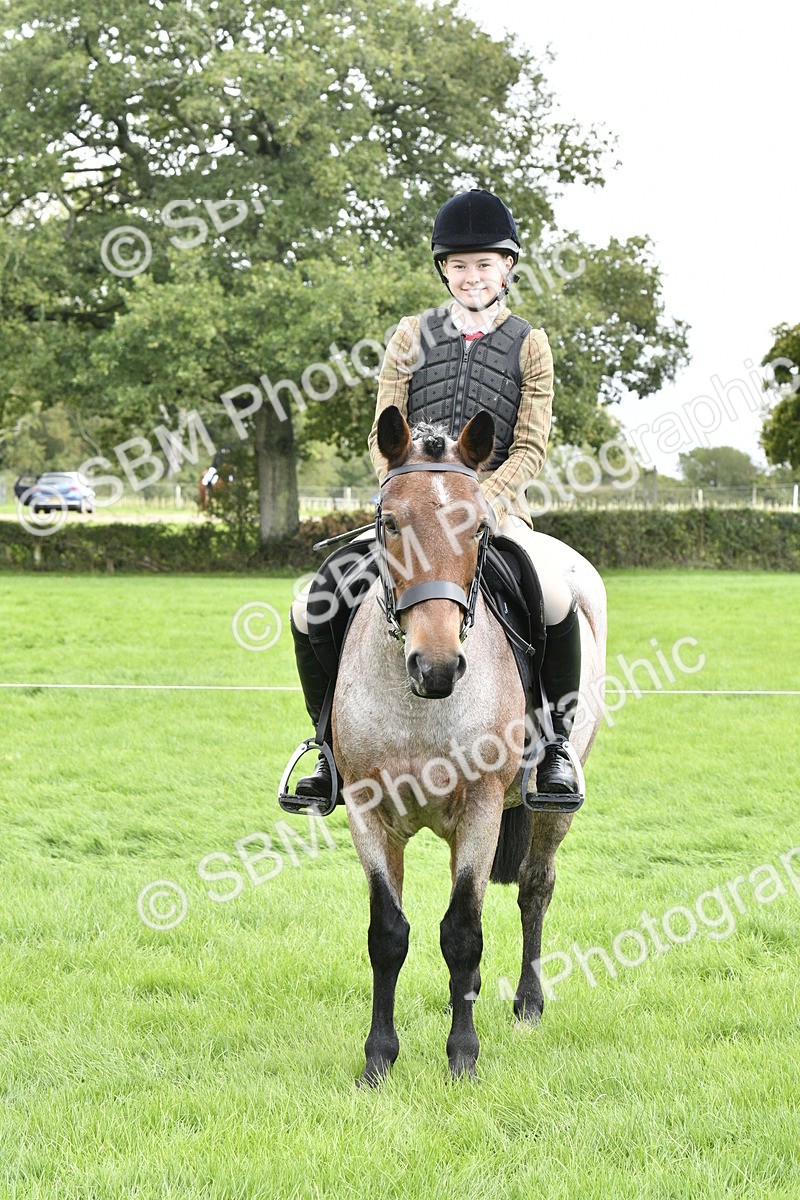 SBM_41614 - S32 - Mountain & Moorland Working Hunter Pony