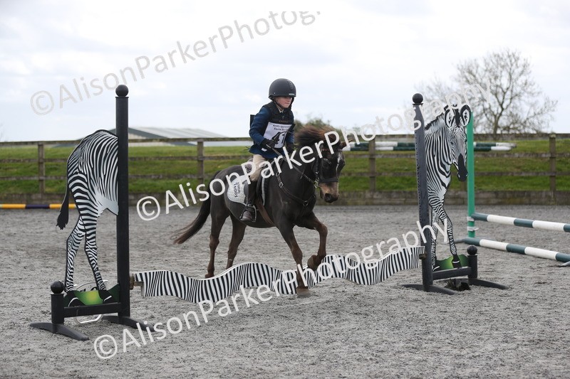 20260412-0585 - Show Jumping