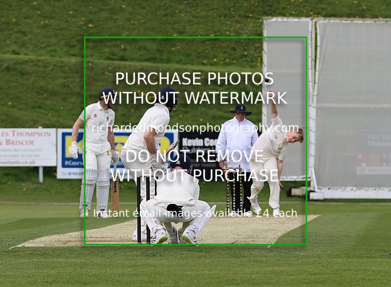 IMG_4732 - Whitehaven