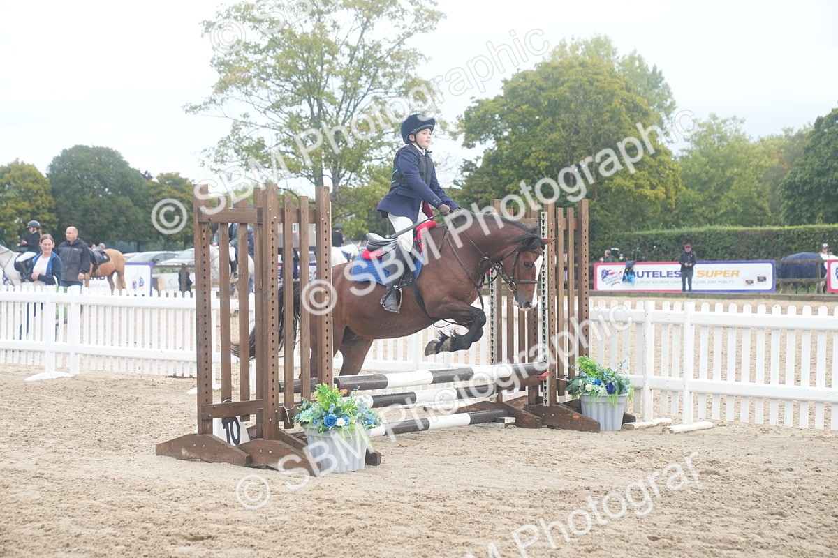 SBM_01899 - J54 - Clear Round 50cm