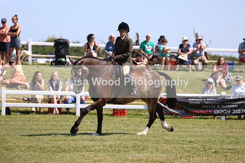 3E7A7534 - Rising Star Ridden Championship