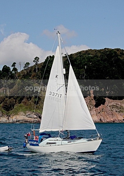 090913 HINEMOA 3371T IMG_6340 - Sailboats - monohull