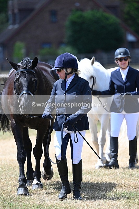 WJ7_2289 - Class 5a Most Handsome Gelding in hand (above 14.2hh)
