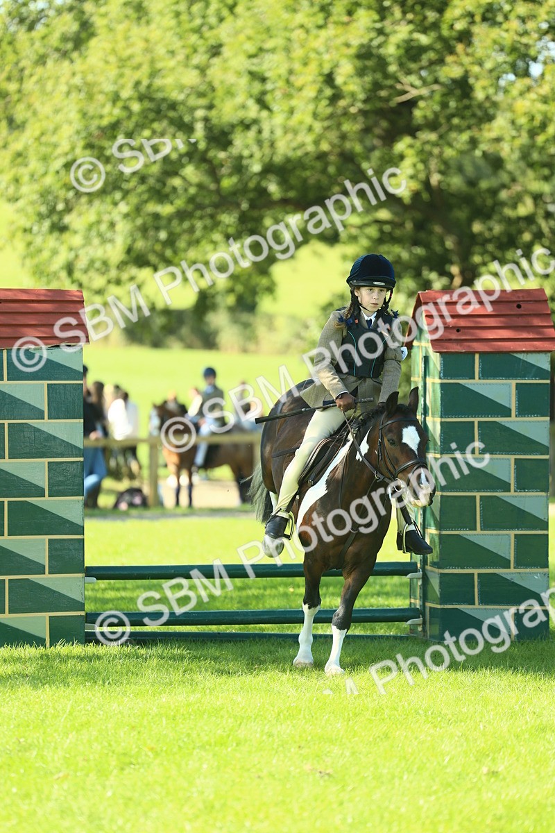SBM_37541 - S29 - Novice & Newcomers Working Hunter Pony
