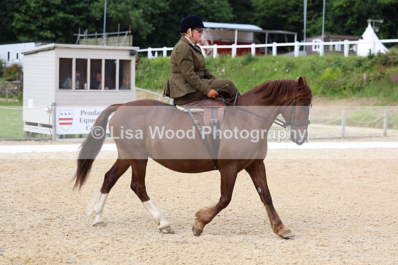 3E7A1626 - Class 2: Intro 2 2024 Section B