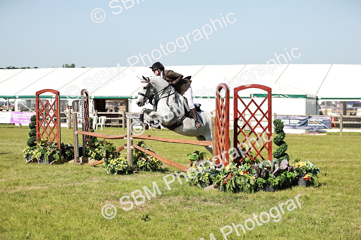 SBM_18856 - Class 114 - RIHS & SEIB Open Working Show Horse