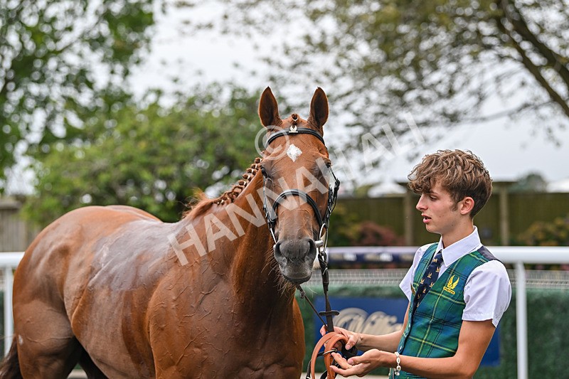 300825-Race 7-Urban Sprawl-2305 - Race 7