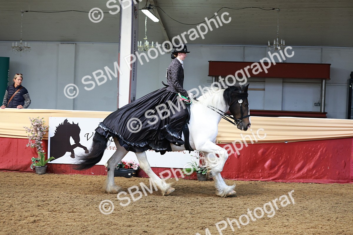 SBM_13844 - Class 106 - Ridden Costume -Astride Adult (15-19)