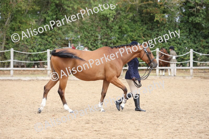 20260831-1893 - Class 5 - Retraining of Racehorses