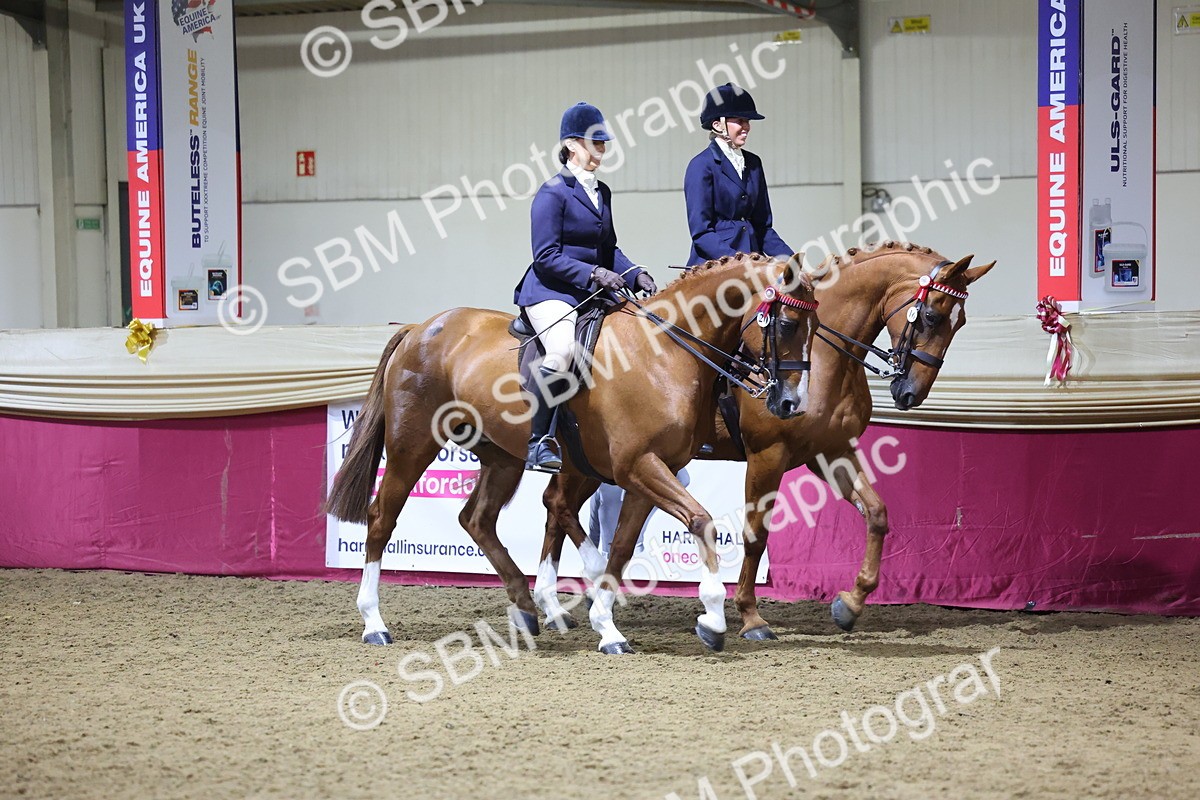 0B8A4308 - Class M Ridden Pairs Champ
