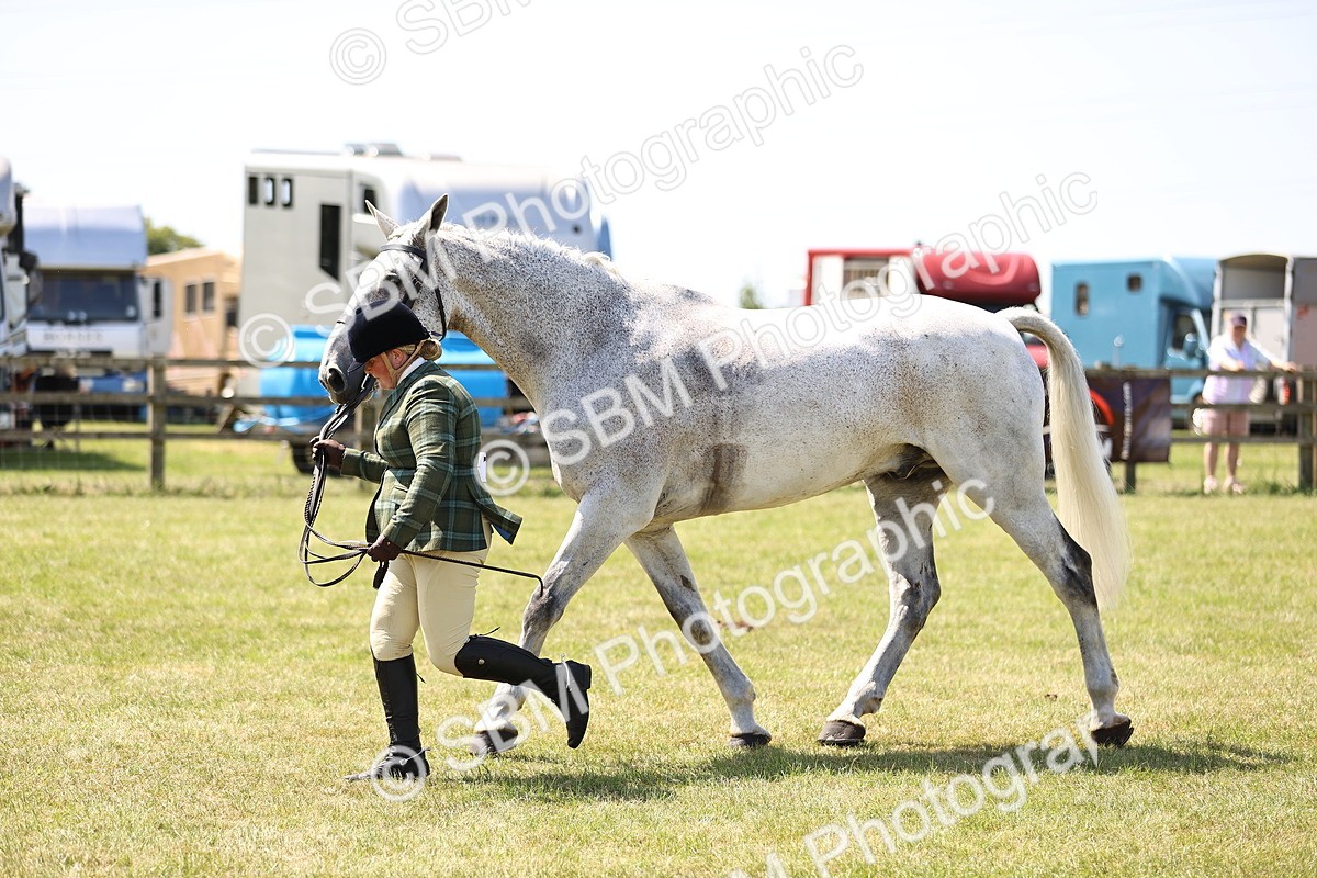 SBM_16177 - Class 79-80 - LIHS BSHA Rising Star Ridden Hunter