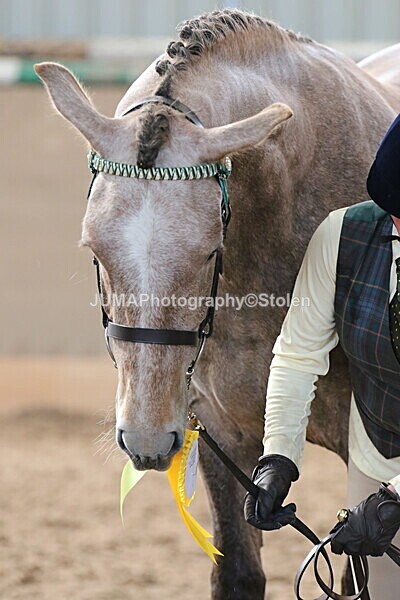 SIAL9758 - Indoor Classes