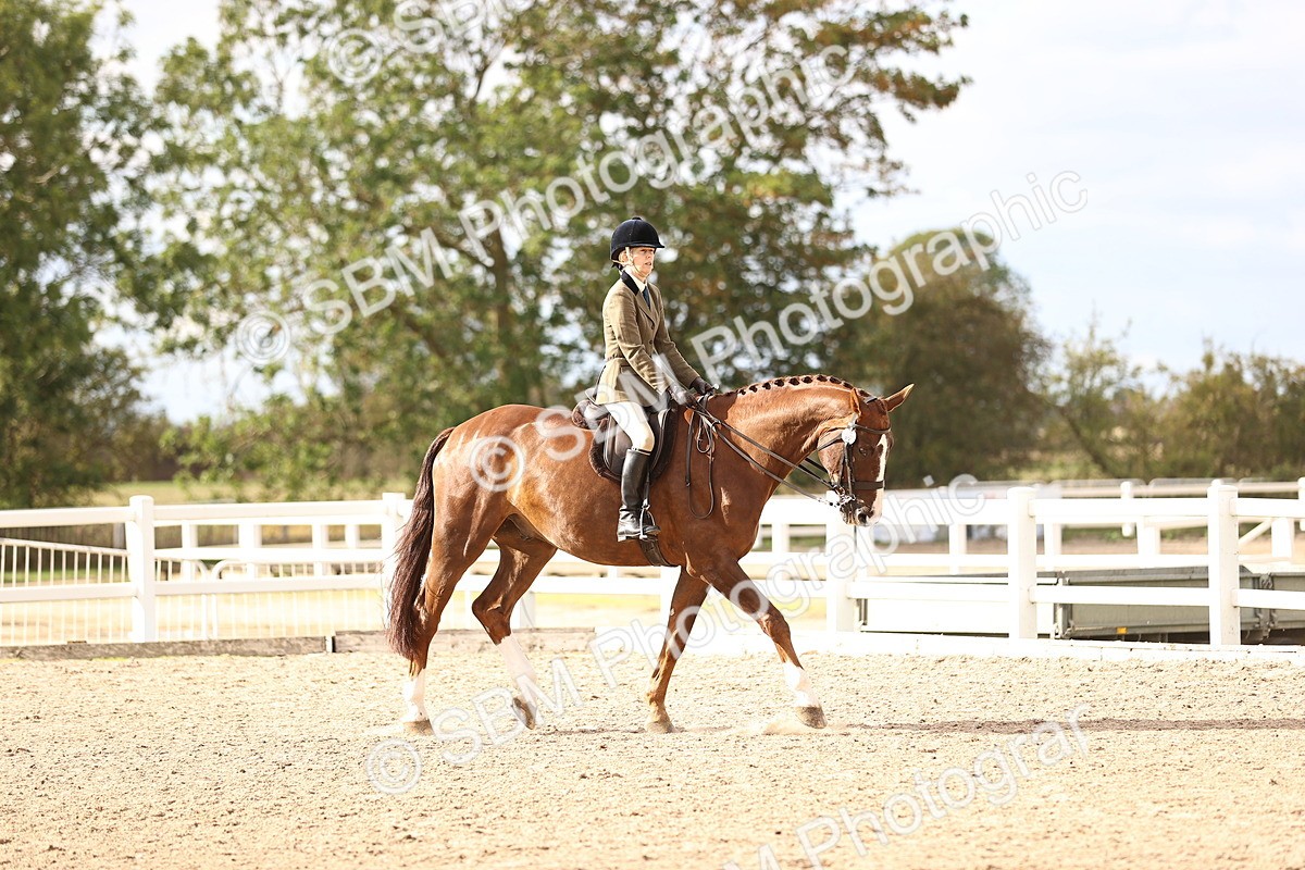 SBM_18158 - Class 423 - Equitation (best rider) Adult