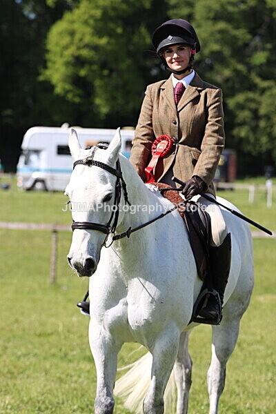 IMG_4687 - Working Hunter