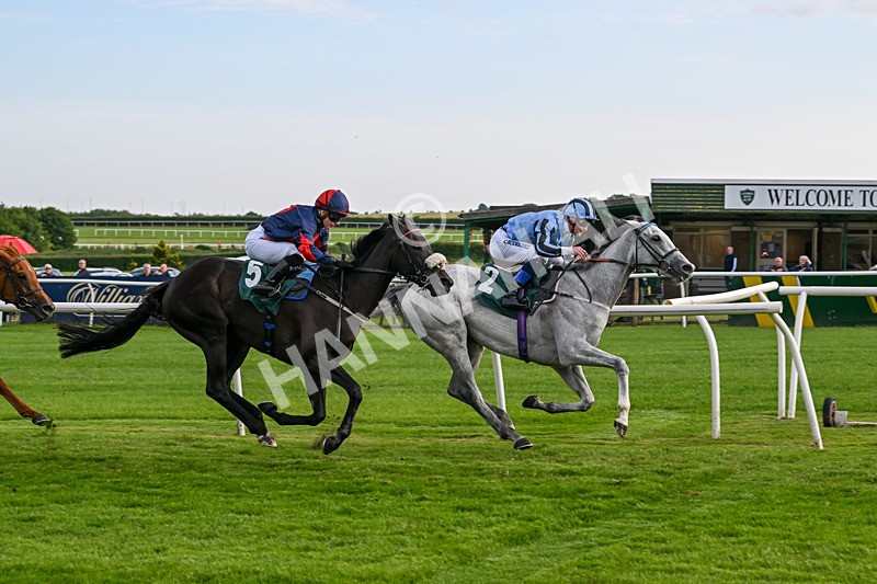 100625-Race 5-Crowns Lady-7264 - Race 5