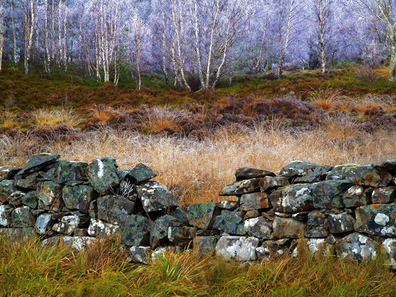 Near Tummel Bridge Perthshire Scotland - Land