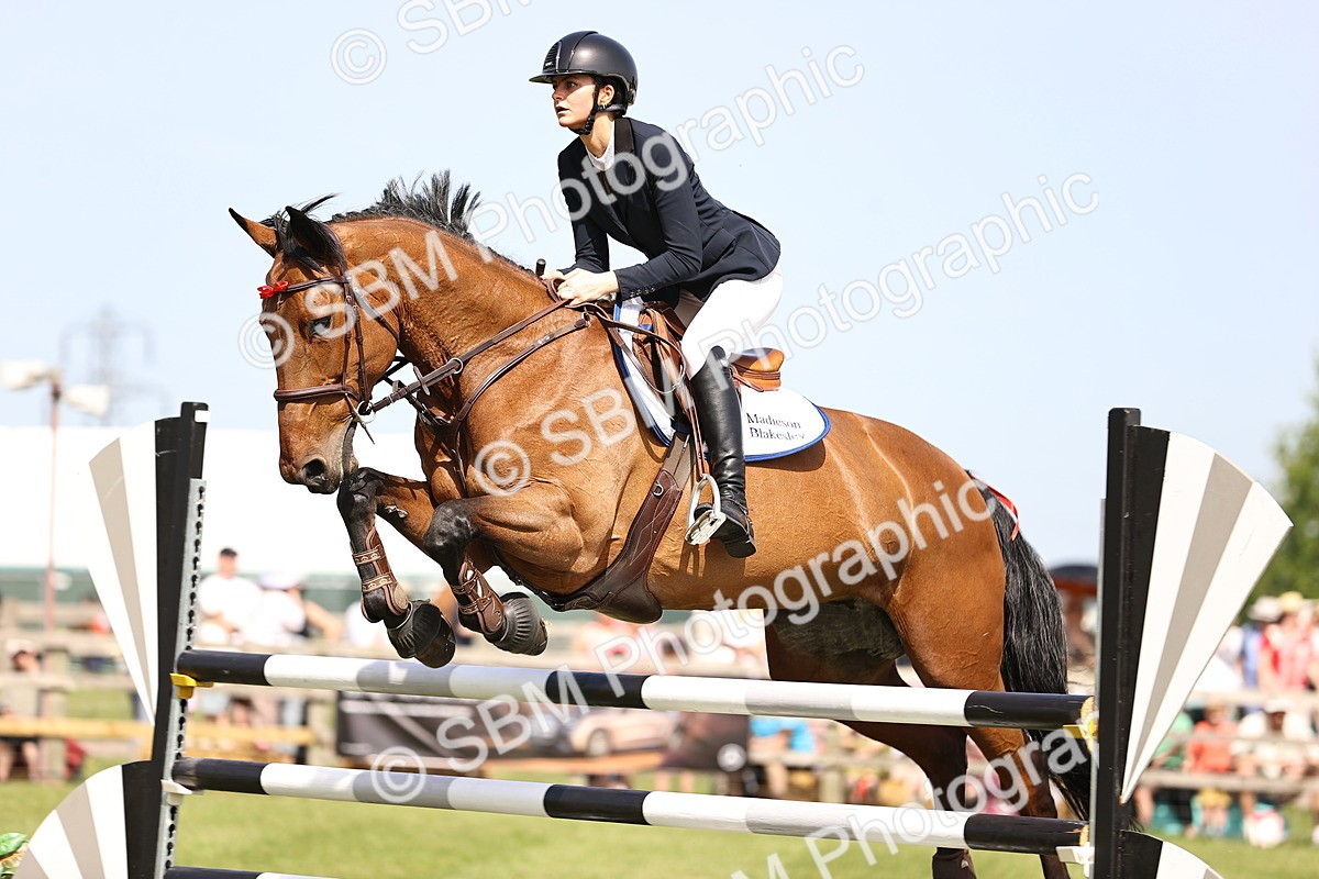 SBM_03122 - Class 201 - British Horse Feedds Speedi Beet HOYS Grade C