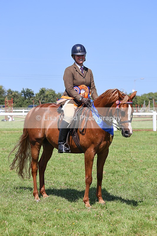 IMG_2267 - Part Bred Ridden Championship