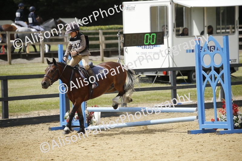 20250622-4084 - 50cm