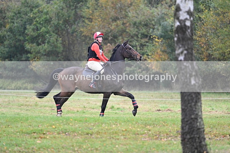 WJ7_0625 - 80cm Cam 2 Water Time 11:08 to 11:28