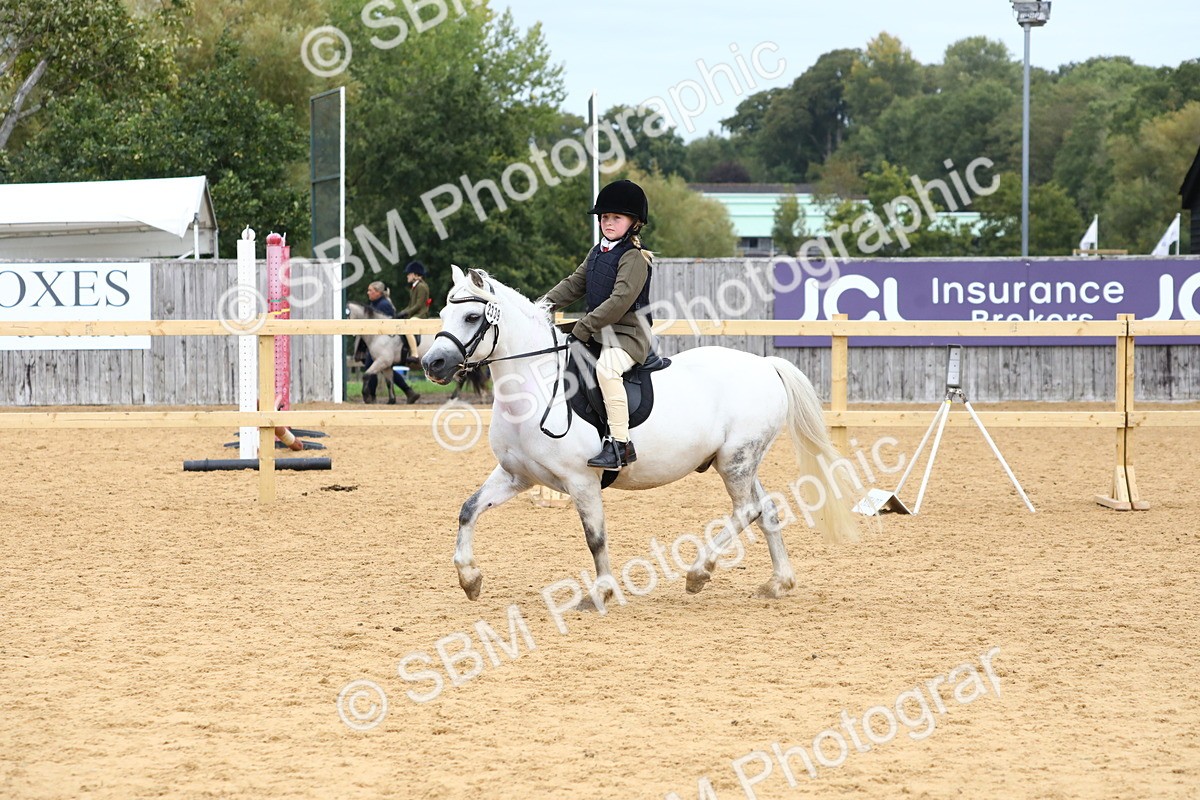 SBM_68130 - J3b - Mini Tour Junior Pony 40cm Championship