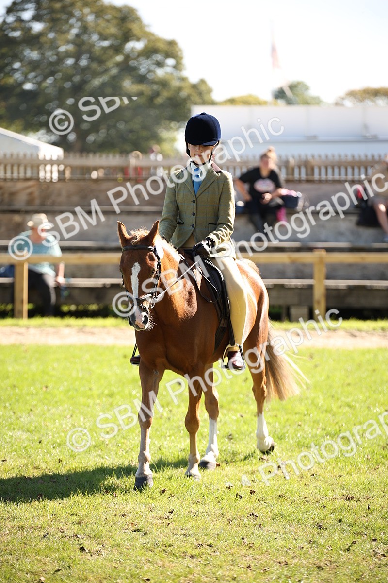 SBM_39032 - S11 - Best Ridden Horse & Pony
