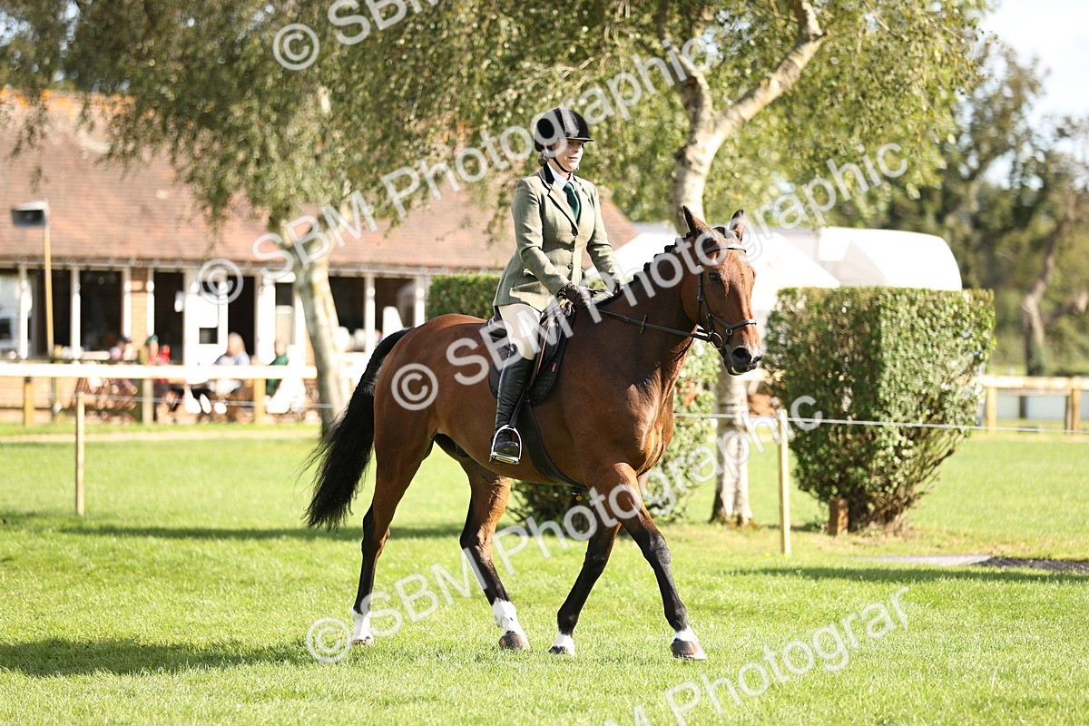 SBM_26347 - S6 - Novice & Newcomers Ridden Horse