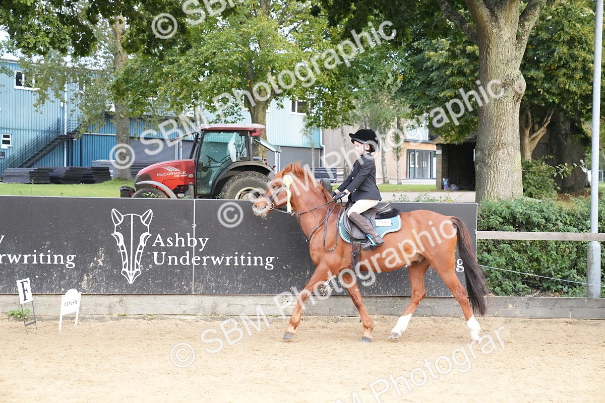 SBM_74962 - J4 - Mini Tour Junior Pony 45cm Championship