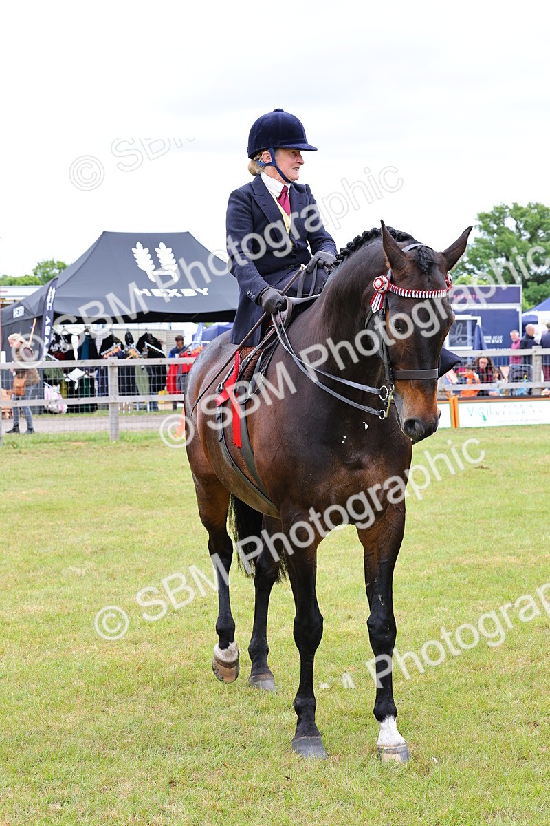 SBM_02971 - Class 9-11 Side Saddle including LIHS Rising Star Ladies Show Horse