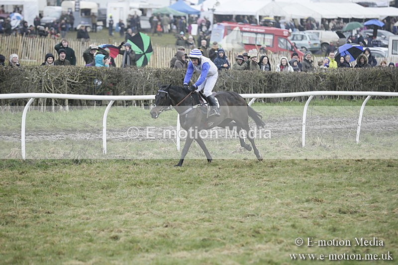 PtP 020418 -318 - Old Berks Point-to-Point Races Easter Monday 02/04/18